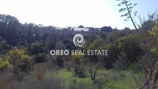Οικόπεδο 1.567 τ.μ. για πώληση, Ν. Ρεθύμνου, Αρκάδι-thumb-6