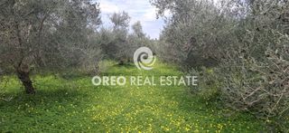 Οικόπεδο 3.636 τ.μ. για πώληση, Ν. Ρεθύμνου, Αρκάδι-thumb-2
