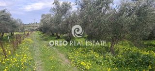 Οικόπεδο 3.636 τ.μ. για πώληση, Ν. Ρεθύμνου, Αρκάδι-thumb-3