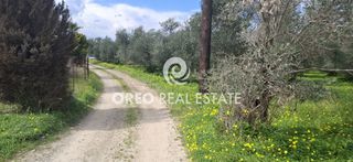 Οικόπεδο 3.636 τ.μ. για πώληση, Ν. Ρεθύμνου, Αρκάδι-thumb-1