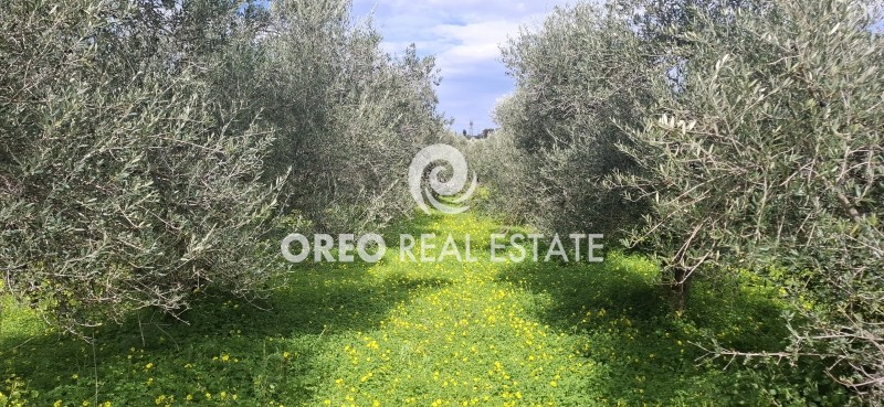 Οικόπεδο 3.636 τ.μ. για πώληση, Ν. Ρεθύμνου, Αρκάδι