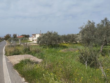 Οικόπεδο 4.300 τ.μ. για πώληση