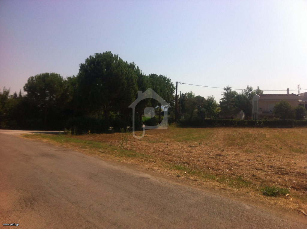 Οικόπεδο 628 τ.μ. προς πώληση, Βοιωτία, Ορχομενός