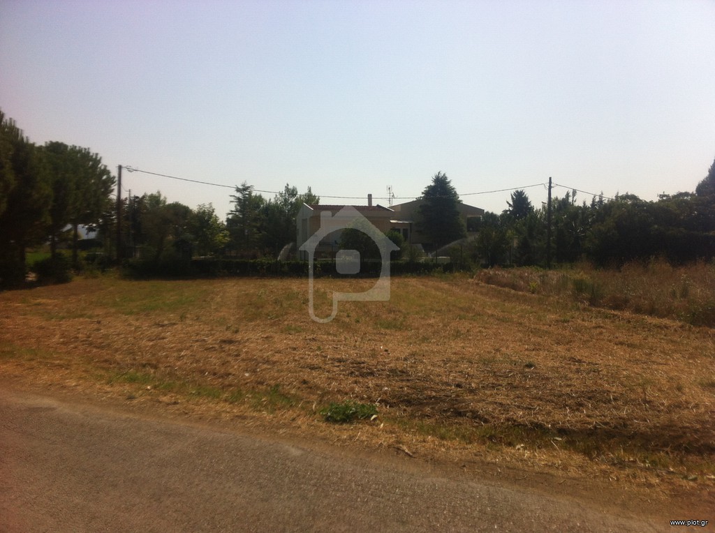 Οικόπεδο 628 τ.μ. προς πώληση, Βοιωτία, Ορχομενός