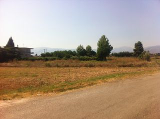 Οικόπεδο 628 τ.μ. για πώληση, Βοιωτία, Ορχομενός-thumb-5