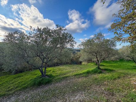 Parcel 9.270sqm for sale-Rethimno » Gallos