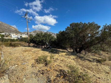 Land plot 1.603sqm for sale-Foinikas » Asomatos