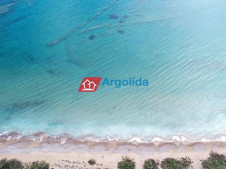 Αγροτεμάχια 4.300 τ.μ. για πώληση
