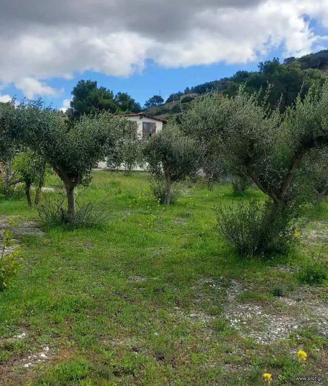 Μονοκατοικία 70 τ.μ. πρός ενοικίαση, Αττική - Υπόλοιπο, Παλαιά Φώκαια