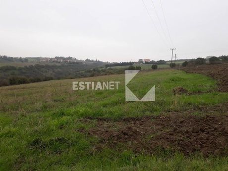 Parcel 5.588sqm for sale-Thermaikos » Peraia