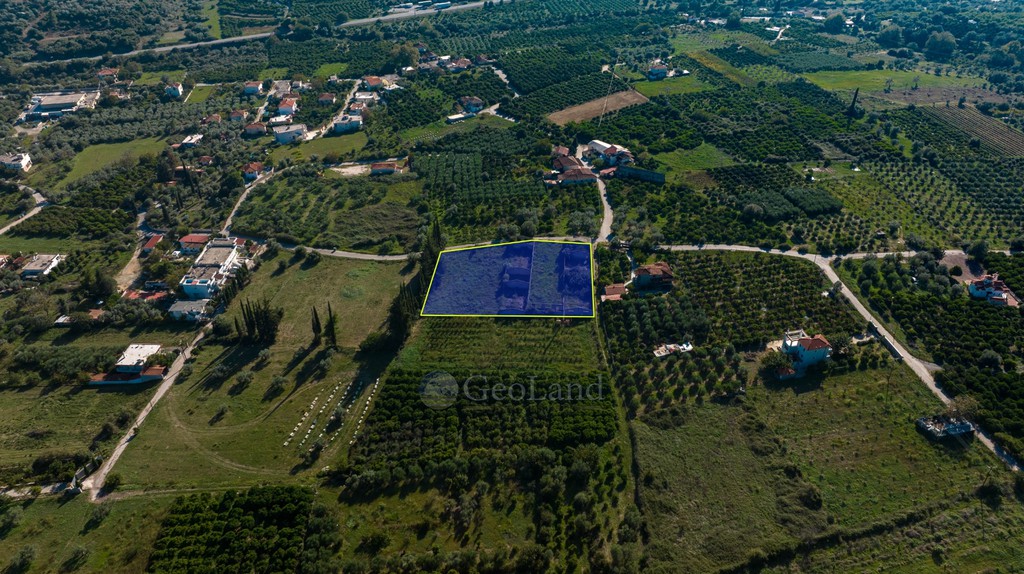 Αγροτεμάχια 4.000 τ.μ. προς πώληση, Επάνω Επίδαυρος