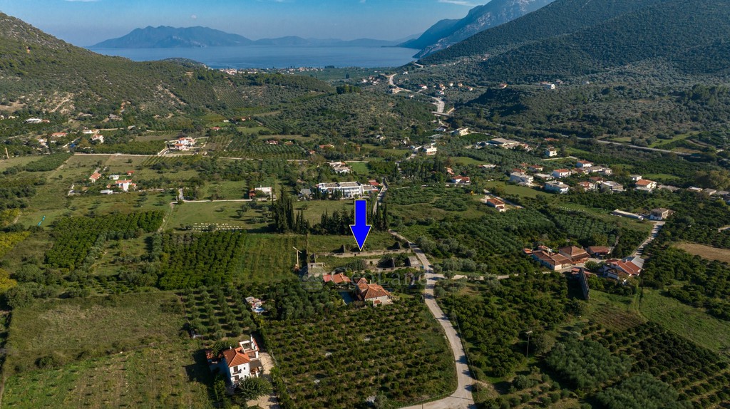 Αγροτεμάχια 4.000 τ.μ. προς πώληση, Επάνω Επίδαυρος