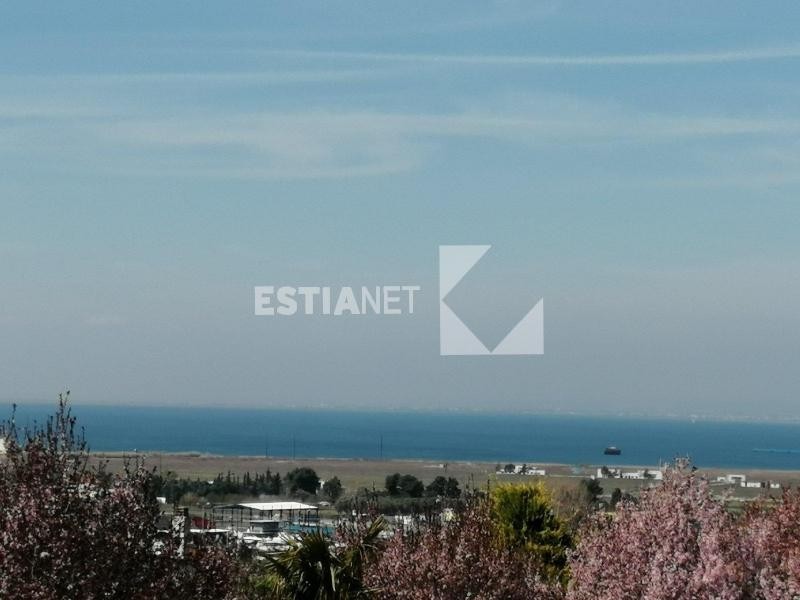 Αγροτεμάχια 4.400 τ.μ. προς πώληση, Πλαγιάρι Θέρμης