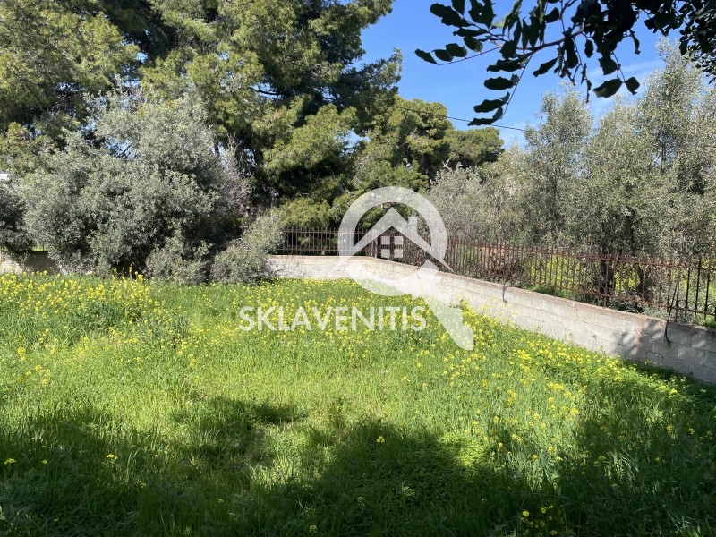 Οικόπεδο 210 τ.μ. πρός πώληση, Αθήνα - Ανατολικά Προάστια, Αρτέμιδα (λούτσα)