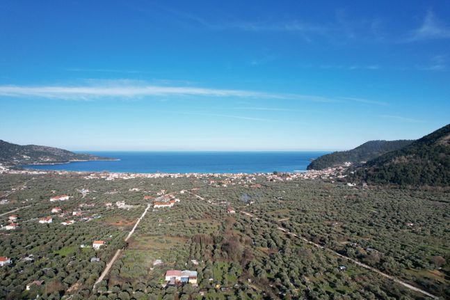 Αγροτεμάχια 4.605 τ.μ. για πώληση, Ν. Καβάλας, Θάσος