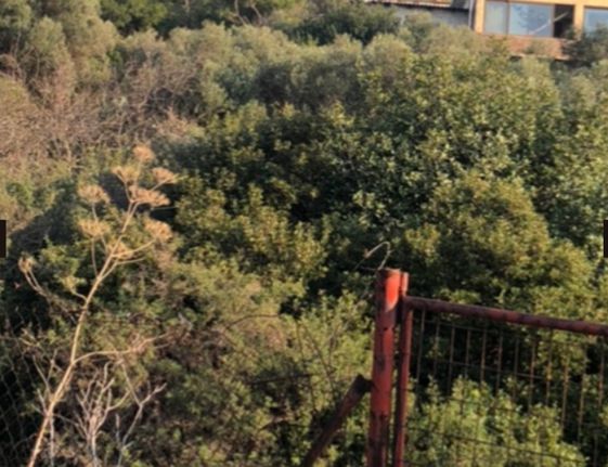 Οικόπεδο 810 τ.μ. για πώληση, Ν. Χανίων, Χανιά