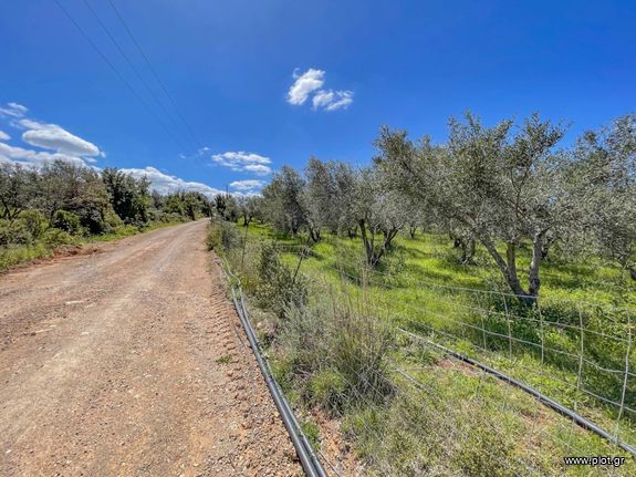 Αγροτεμάχια 63.209 τ.μ. για πώληση, Ν. Ρεθύμνου, Αρκάδι