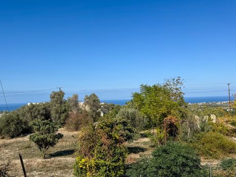 Land plot 1.027sqm for sale-Arkadi » Kyrianna