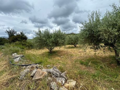 Land plot 5.965sqm for sale-Geropotamos » Perama