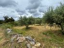 Οικόπεδο 5.965τ.μ. για πώληση-Γεροπόταμος » Πέραμα