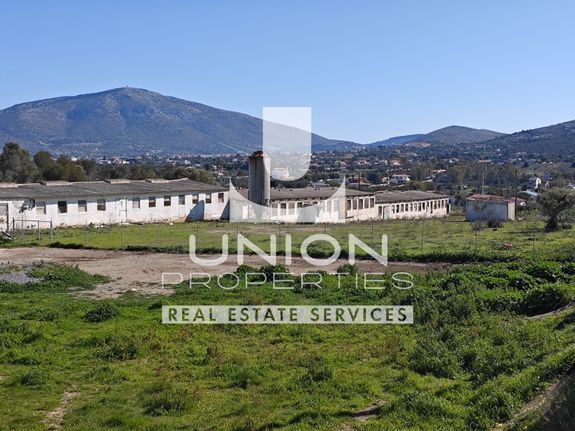 Αποθήκη 2.000 τ.μ. για πώληση, Αττική - Υπόλοιπο, Καλύβια Θορικού
