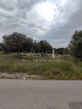 Land plot 245sqm for sale-Paiania » Agios Andreas