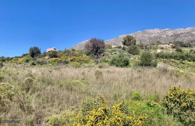 Οικόπεδο 2.000 τ.μ. πρός πώληση, Ν. Ρεθύμνου, Φοινίκας