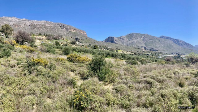 Οικόπεδο 2.000 τ.μ. πρός πώληση, Ν. Ρεθύμνου, Φοινίκας
