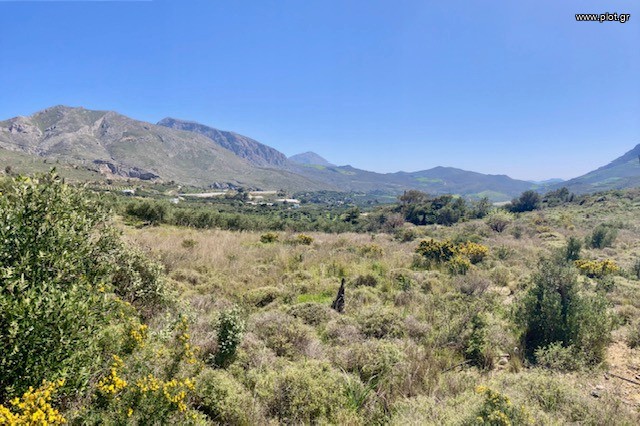 Οικόπεδο 2.000 τ.μ. πρός πώληση, Ν. Ρεθύμνου, Φοινίκας