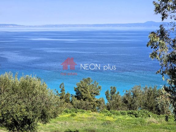 Αγροτεμάχια 4.590 τ.μ. για πώληση, Χαλκιδική, Κασσάνδρα