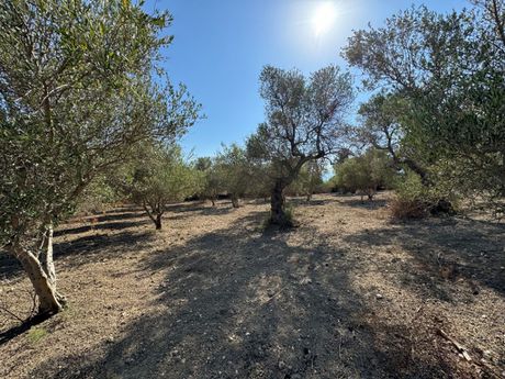 Land plot 2.326sqm for sale-Nikiforos Fokas » Agios Konstantinos