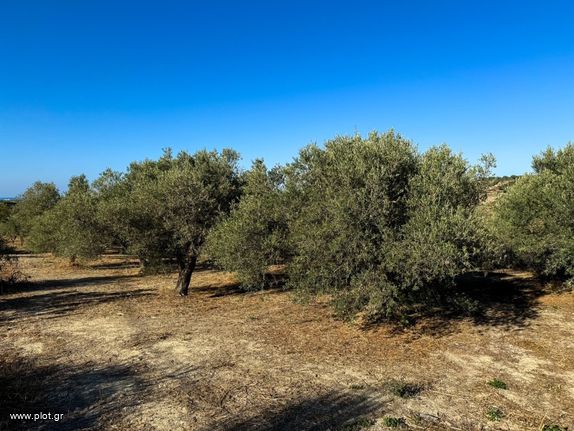 Αγροτεμάχια 6.494 τ.μ. για πώληση, Ν. Ρεθύμνου, Λάππα