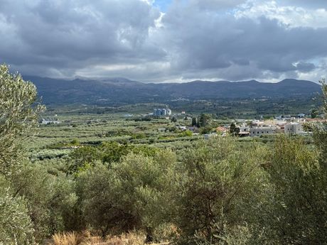 Land plot 1.010sqm for sale-Geropotamos » Aggeliana