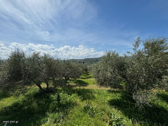 Parcel 2.738 sqm for sale, Rethymno Prefecture, Geropotamos