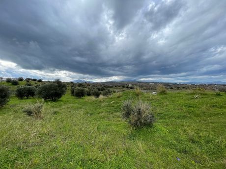 Parcel 4.007sqm for sale-Rethimno » Armenoi