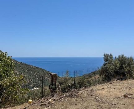 Land plot 590sqm for sale-Foinikas » Ano Rodakino