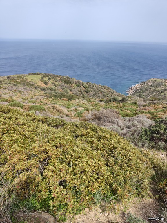 Αγροτεμάχια 7.500 τ.μ. προς πώληση, Νέα Στύρα