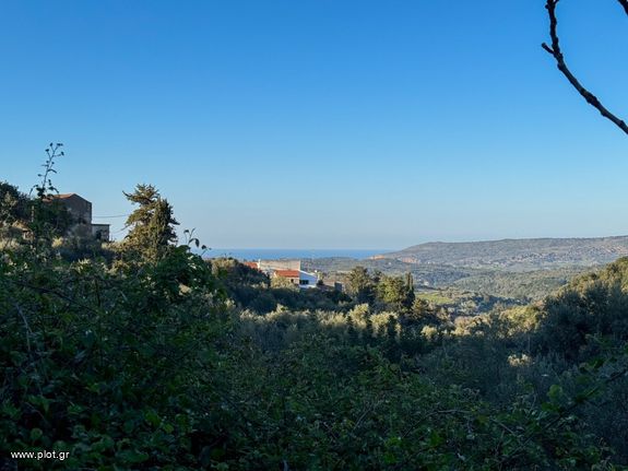 Αγροτεμάχια 2.001 τ.μ. για πώληση, Ν. Ρεθύμνου, Λάππα