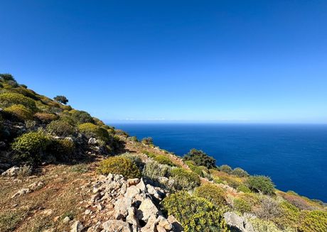 Parcel 9.500sqm for sale-Vamos » Kefalas