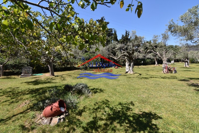 Μονοκατοικία 81 τ.μ. πρός πώληση, Εβρος, Αλεξανδρούπολη