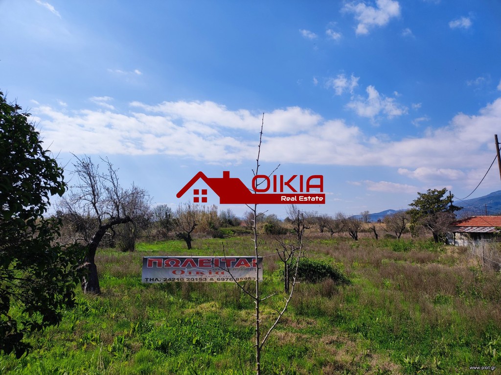 Αγροτεμάχια 8.150 τ.μ. πρός ενοικίαση, Μαγνησία, Μηλιές