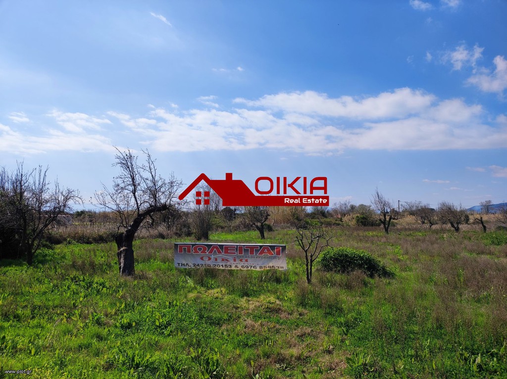 Αγροτεμάχια 8.150 τ.μ. πρός ενοικίαση, Μαγνησία, Μηλιές