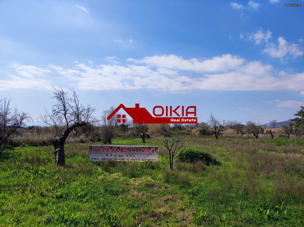 Αγροτεμάχια 8.150 τ.μ. πρός ενοικίαση, Μαγνησία, Μηλιές