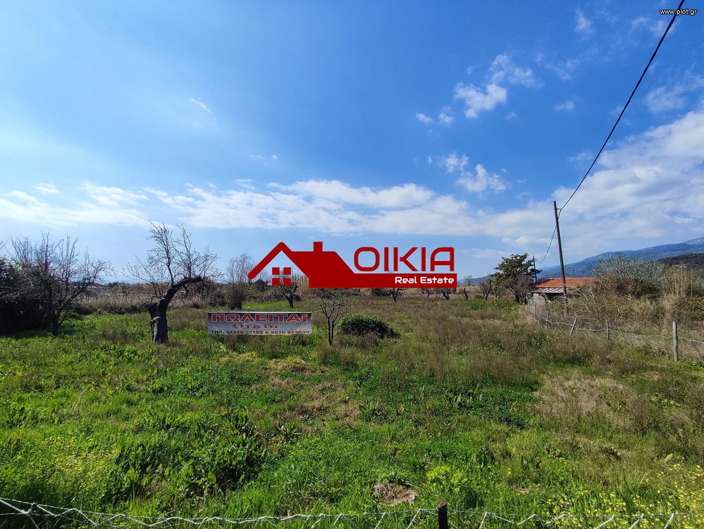 Αγροτεμάχια 8.150 τ.μ. πρός ενοικίαση, Μαγνησία, Μηλιές