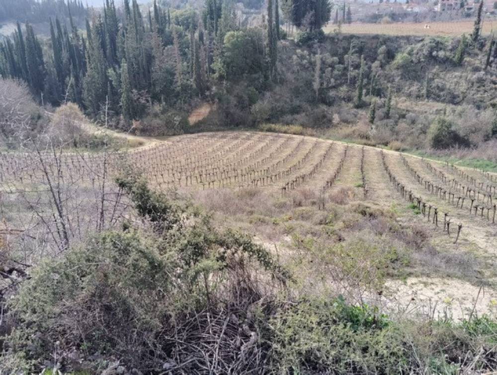 Αγροτεμάχια 8.500 τ.μ. πρός πώληση, Κορινθία, Ξυλόκαστρο