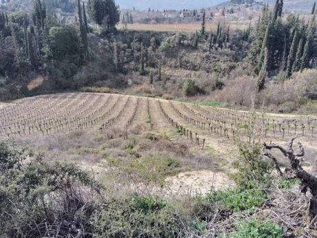 Parcel 8.500sqm for sale-Xilokastro » Rethi