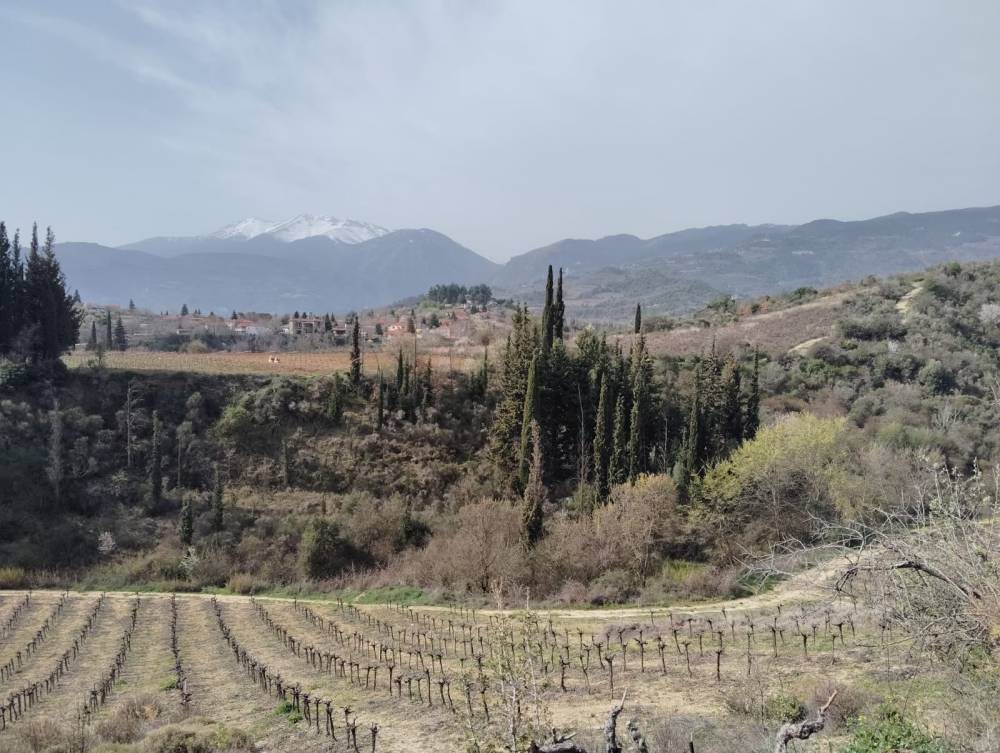 Αγροτεμάχια 8.500 τ.μ. πρός πώληση, Κορινθία, Ξυλόκαστρο