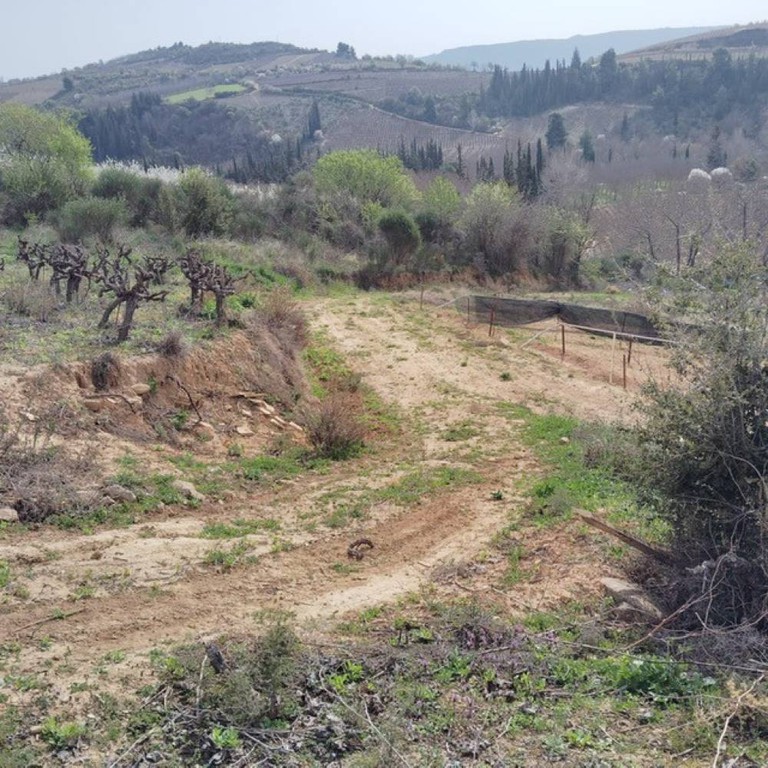 Αγροτεμάχια 8.500 τ.μ. πρός πώληση, Κορινθία, Ξυλόκαστρο