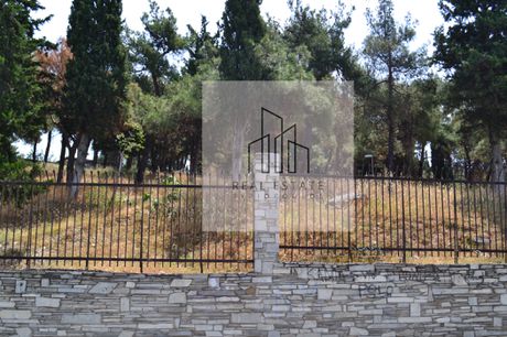 Οικόπεδο 191τ.μ. για πώληση-Συκιές » Άλσος