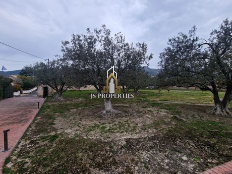 Οικόπεδο 1.873τ.μ. για πώληση-Αίγινα » Βίγλα